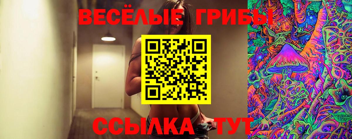 где купить   Псилоцибиновые грибы мицелий  Вход с VPN  Галлюциногенные грибы прущие грибы  Выборг 