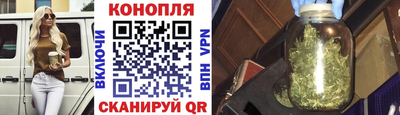 omg вход закладки Выборг Бошки марихуана VHQ